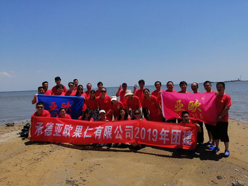 精品人妻无码一区二区三区换脸