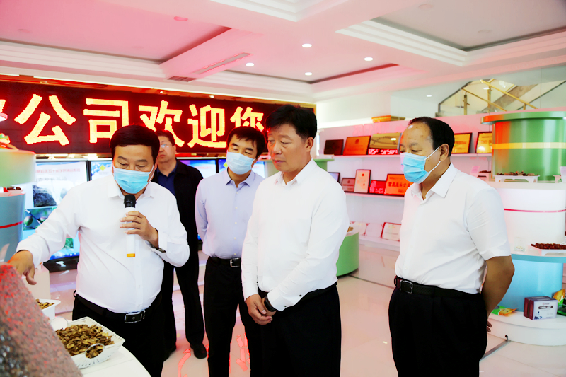 精品人妻无码一区二区三区换脸