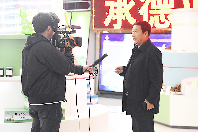 精品人妻无码一区二区三区换脸