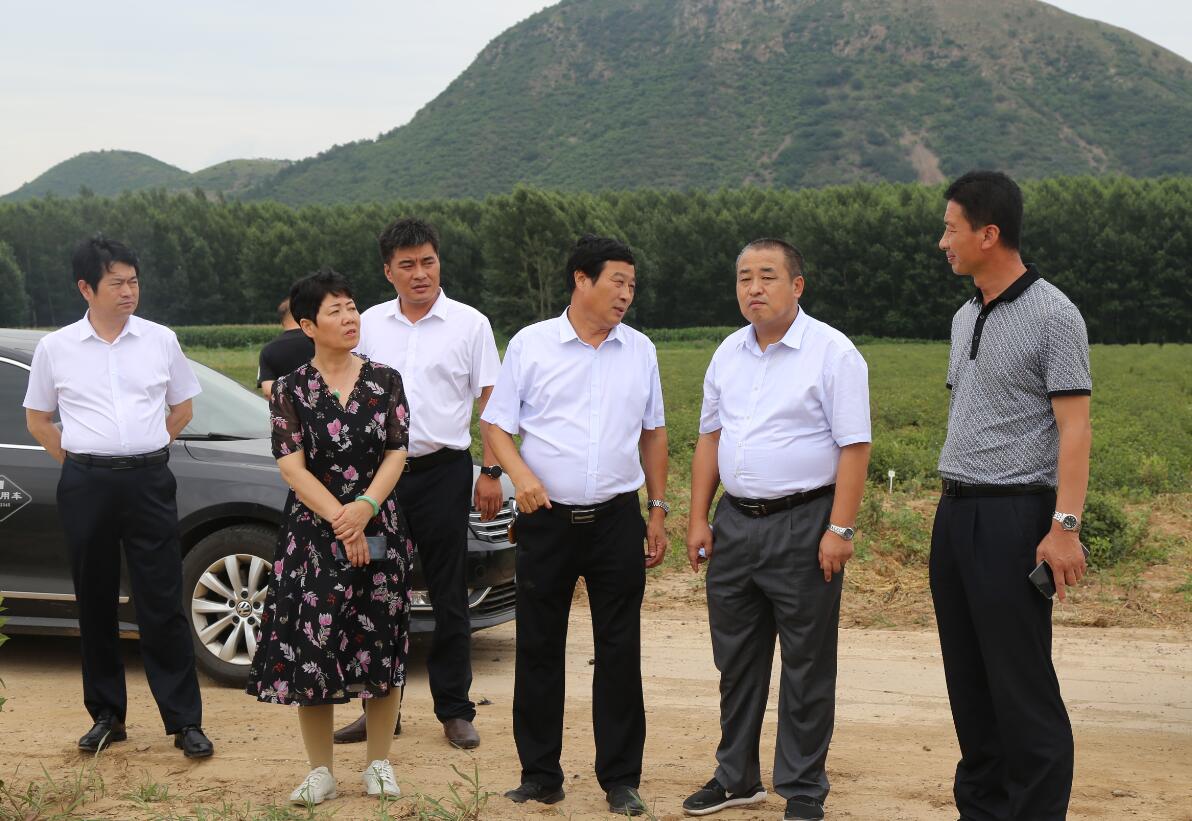 精品人妻无码一区二区三区换脸