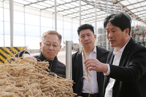 精品人妻无码一区二区三区换脸