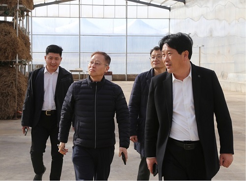 精品人妻无码一区二区三区换脸